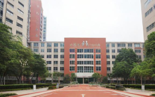 重庆南坪的中学究竟表现如何？