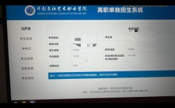 开封文化艺术录取分多少？