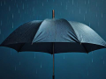 雨伞在英文中应该如何表达？