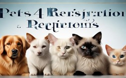 2025年pets4报名条件已更新？速看最新要求！