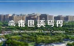 川大锦城国贸具体在哪个区？