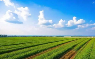 黑龙江农业科学怎么样