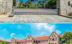 厦门大学哪个系实力最强？