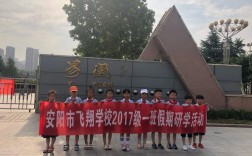 灵璧飞翔学校录取多少分