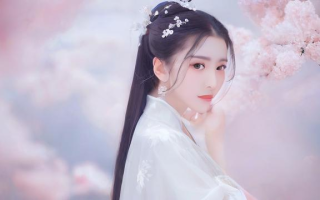 中艺表现如何？一文带你了解真实情况！