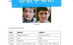 西综徐琦老师属于哪个培训机构？