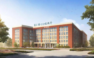 上海大同初中的教学质量和校园环境如何评价？