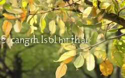 变易思维是什么？如何用变易思维解决复杂问题？