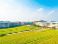 长沙市稻田学校教学质量如何？值得选择吗？
