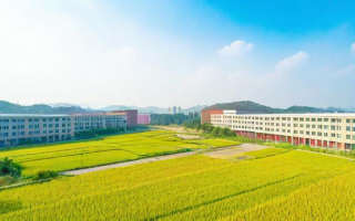 长沙市稻田学校教学质量如何？值得选择吗？