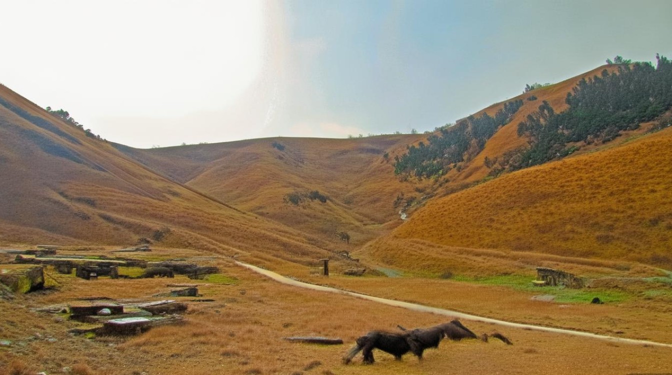 阑尾炎该住哪个病区?-图1 阑尾炎该住哪个病区?-图1