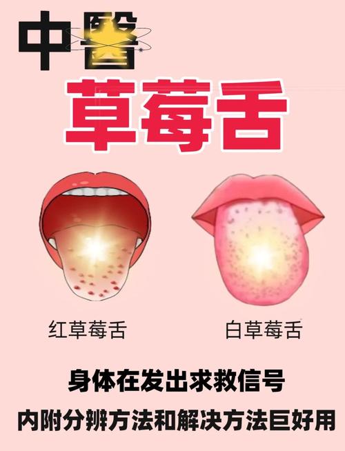 舌头这个词哪个是词缀-图3