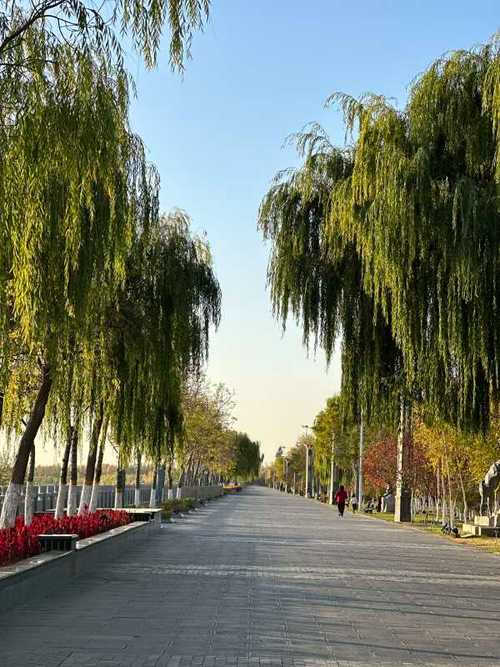 伊宁1中录取分数线是多少？-图3