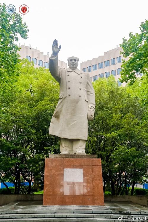 同济法学院具体在哪个校区？-图2