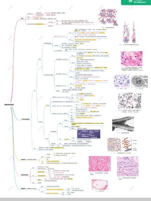 社会医学思维导图，核心框架如何构建？-图2