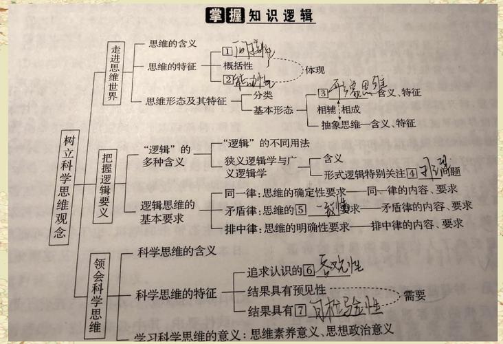 逻辑思维到底是什么？-图1