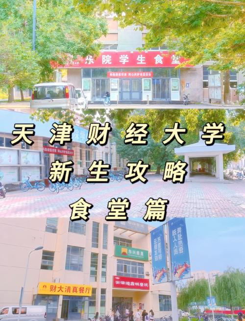 天津财经和吉大选哪个更合适？-图2