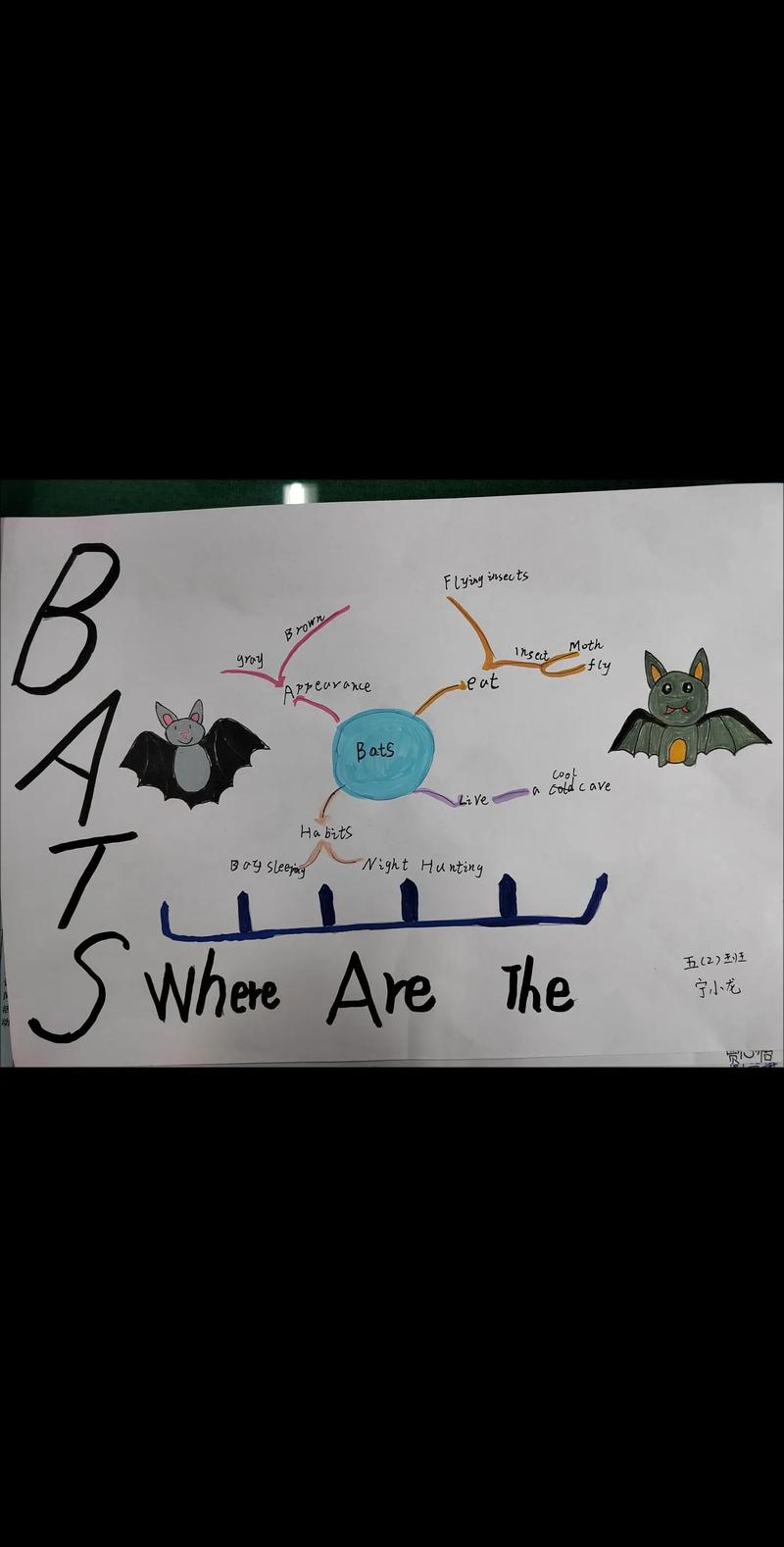 绘本创作思维导图-图2