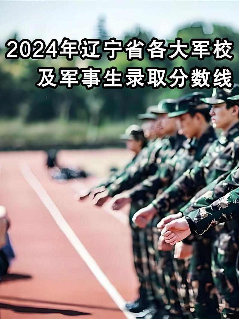 辽宁士官报名人数多少？-图1