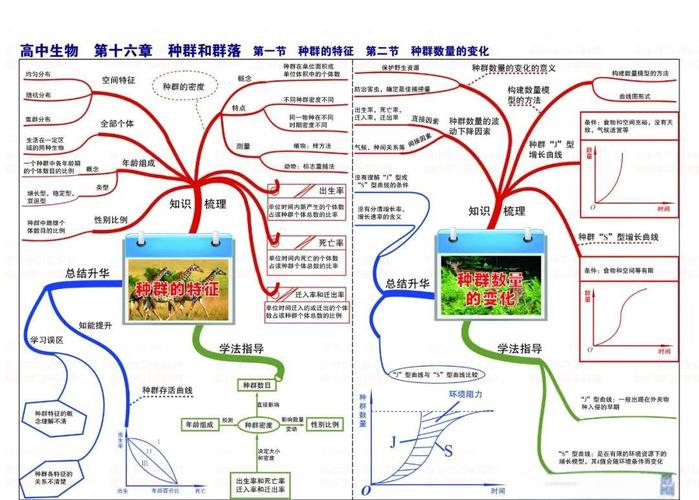 必修3生物思维导图如何构建高效知识体系？-图2