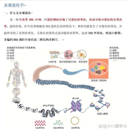 遗传学属于哪个专业大类？-图1