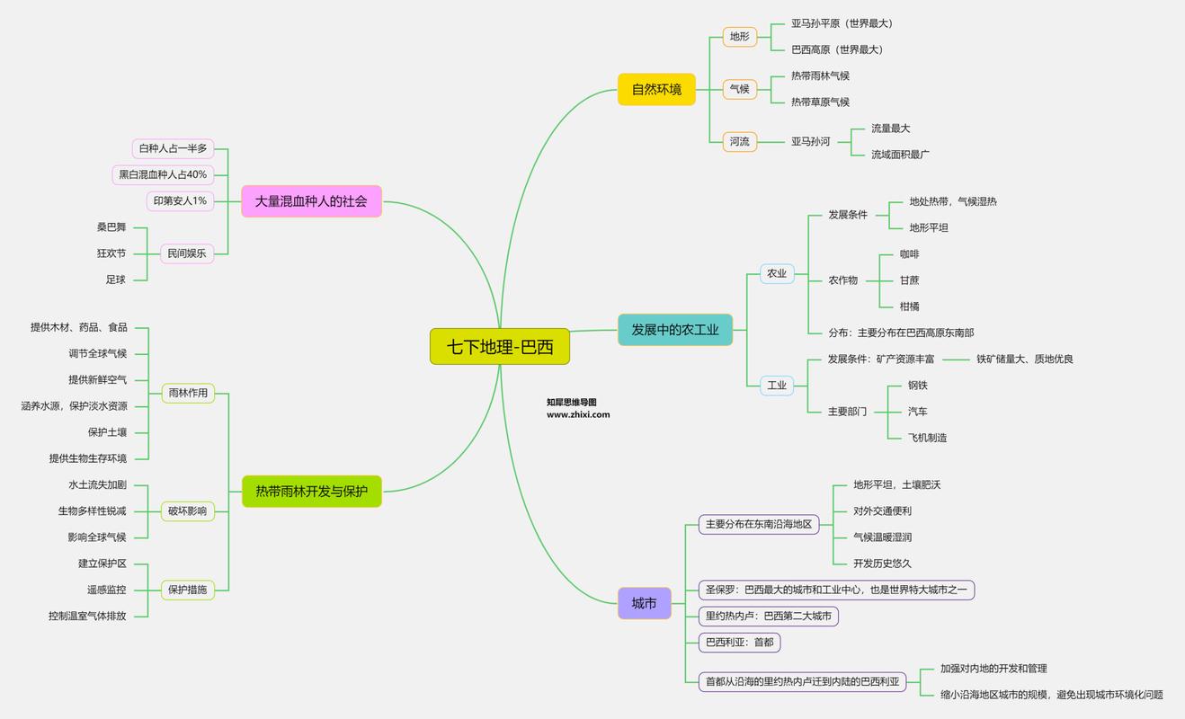 巴西思维框架图-图1
