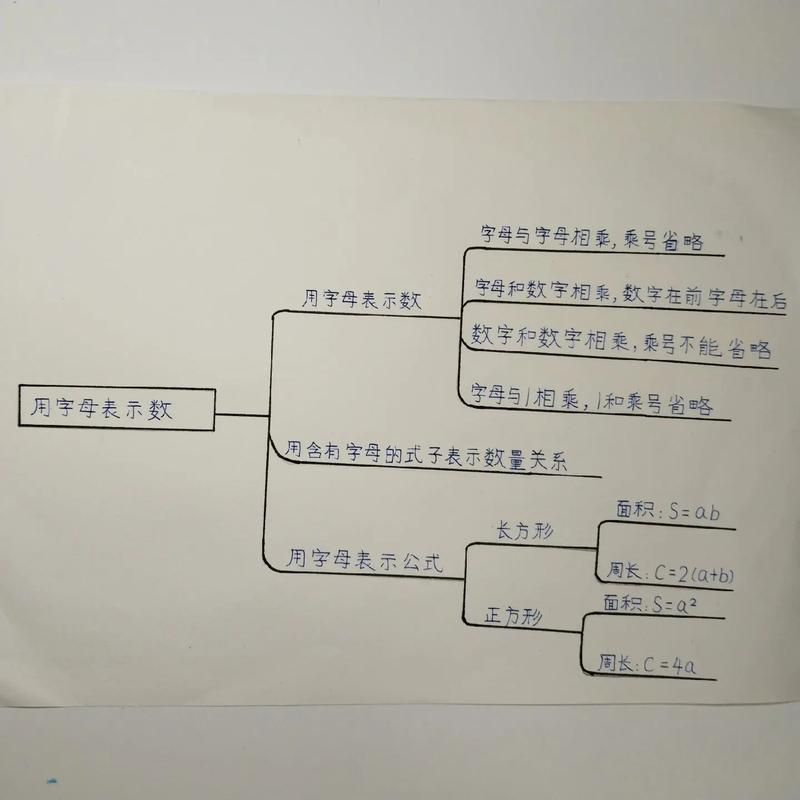 数的思维导图怎么画？关键步骤有哪些？-图1