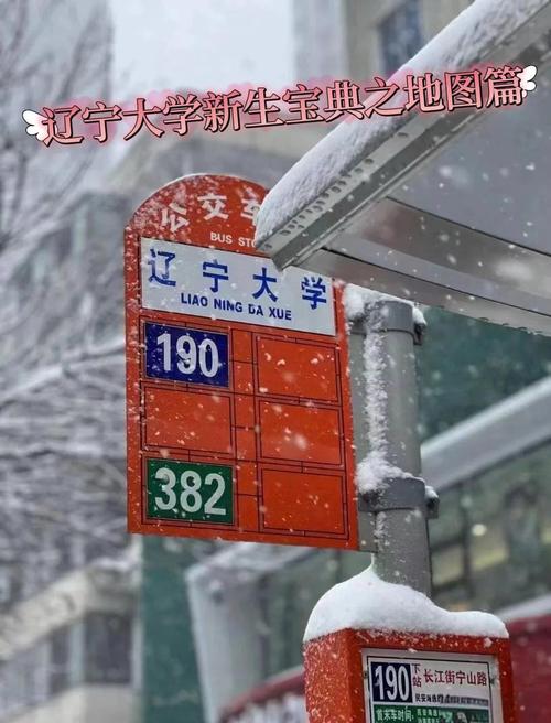 辽大文学院具体在哪个校区？-图3