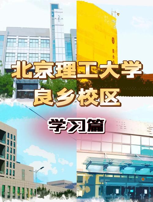 北理工双学位哪个好-图1 北理工双学位哪个好-图1