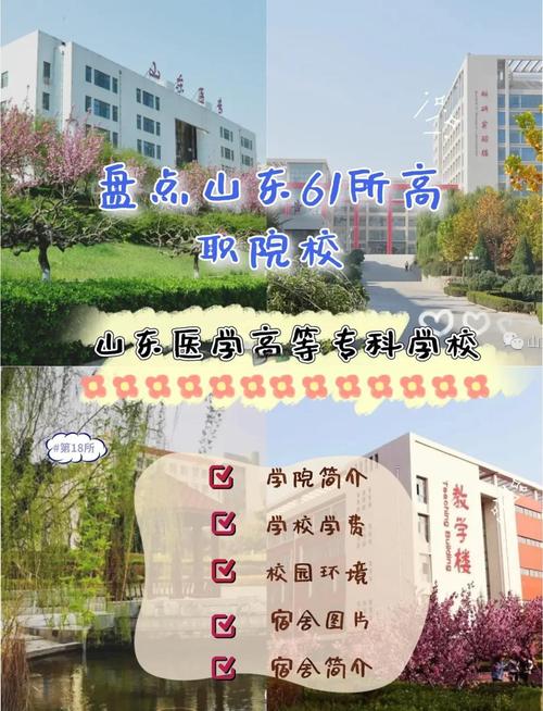 临沂医专录取分数线是多少？-图1