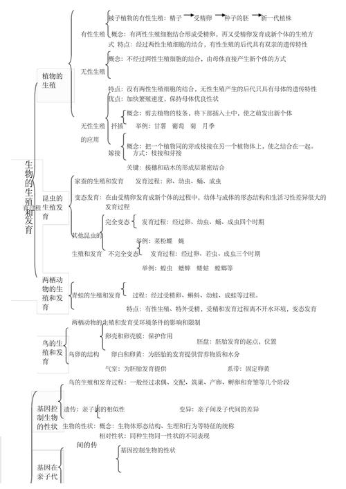 初二生物思维导图怎么用才高效？-图3