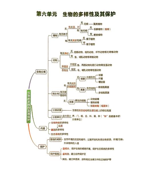 初二生物思维导图怎么用才高效？-图2