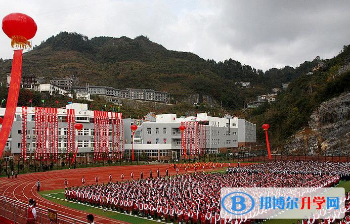 酉中学录取线究竟多少分？-图3