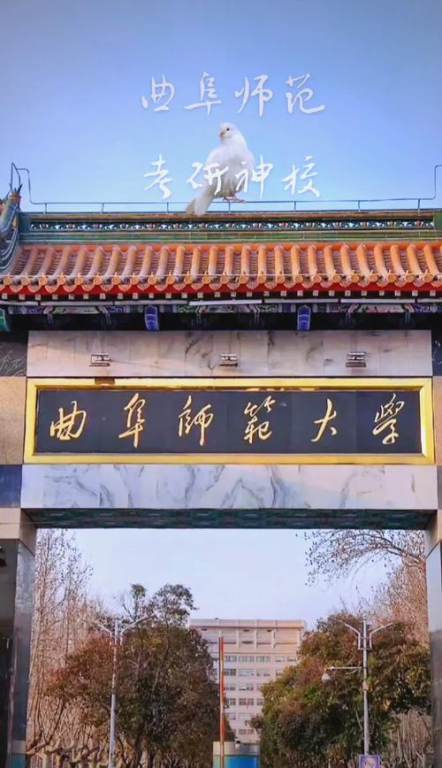 曲阜师范金融学在哪个学院？-图2