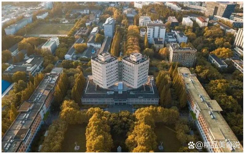 同济管科哪个方向更优？-图3