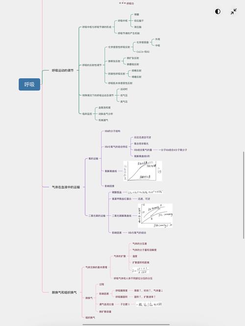 思维与呼吸，如何相互影响？-图2