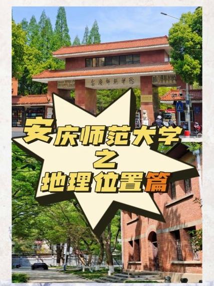 高志斌目前在哪所大学任职？-图2