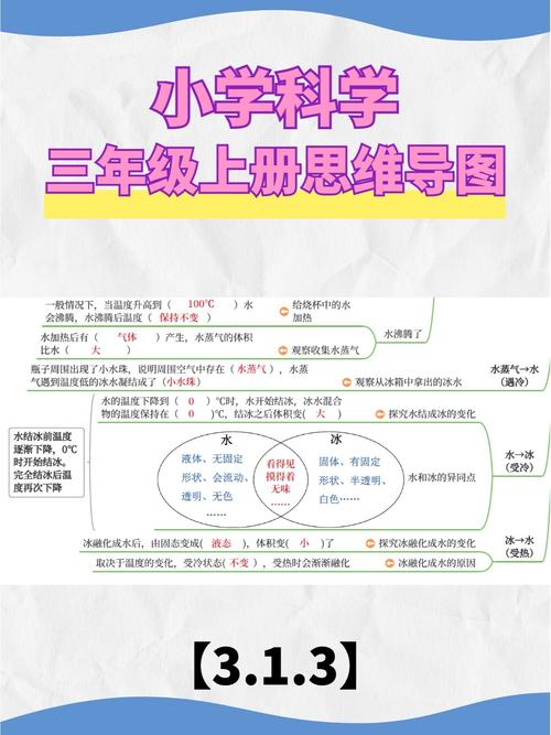 科学三年级上思维导图,怎么用才高效?-图1 科学三年级上思维导图,怎么用才高效?-图1