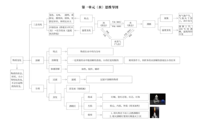 科学三年级上思维导图，怎么用才高效？-图2