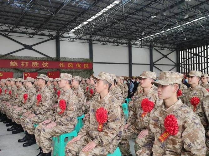 潼南新兵录取人数究竟多少?-图2 潼南新兵录取人数究竟多少?-图2