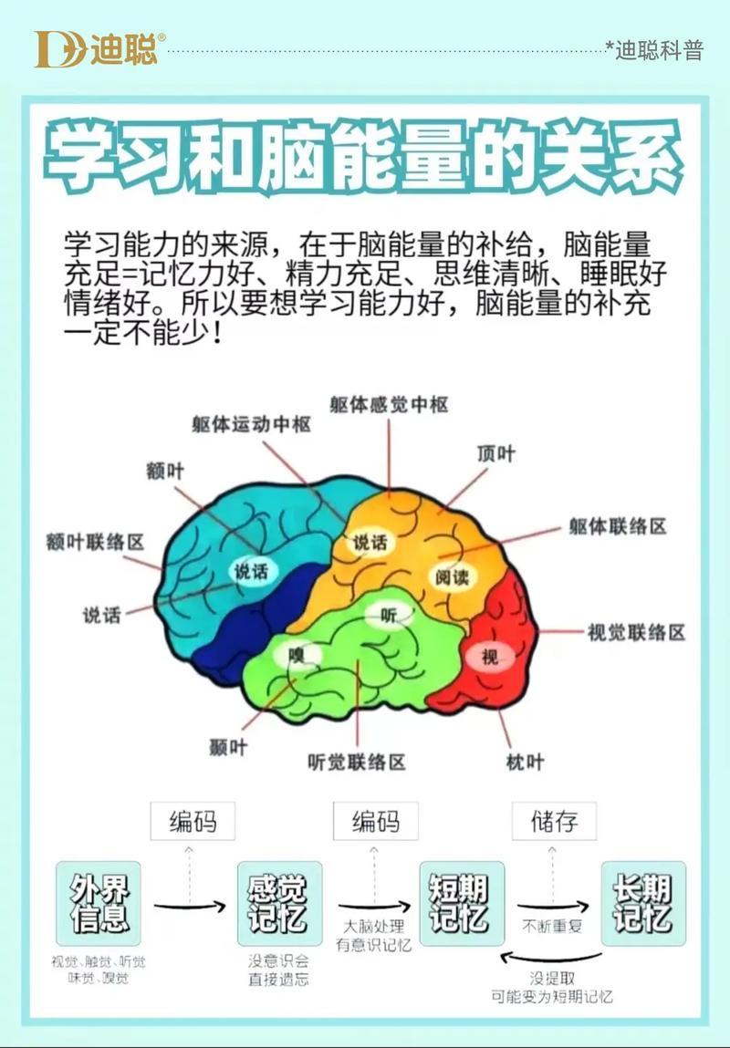 益智脑思维如何提升智力？-图3