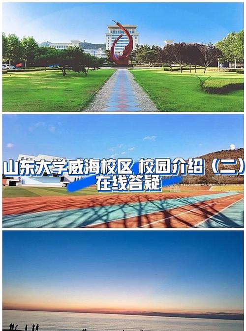 山大国贸专业隶属哪个学院？-图1