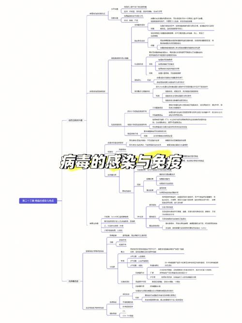医学微生物学思维导图如何高效构建？-图1