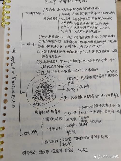 医学微生物学思维导图如何高效构建？-图2