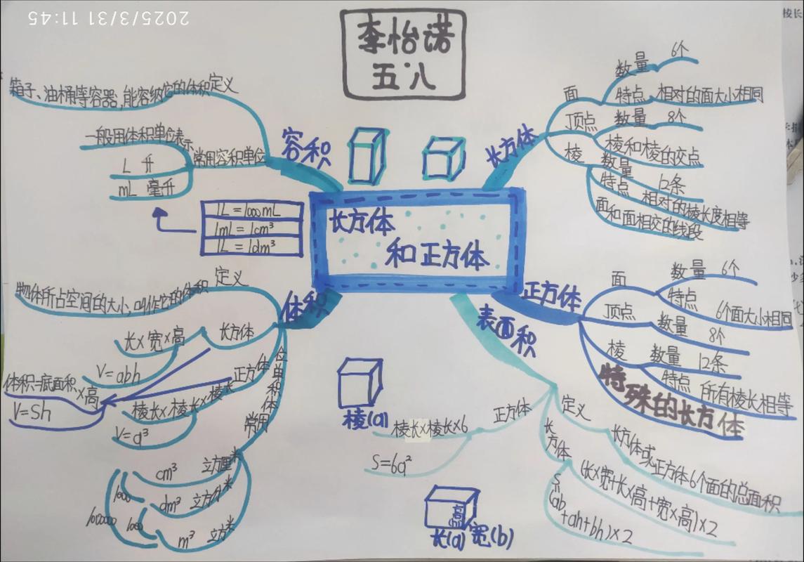 长方体与正方体思维导图如何构建?-图3 长方体与正方体思维导图如何构建?-图3