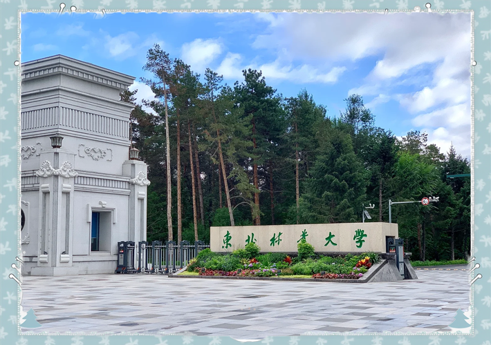 东北林大和宁夏大学，地域差异如何选？-图1