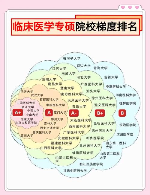 诊断学哪家大学强?-图2 诊断学哪家大学强?-图2