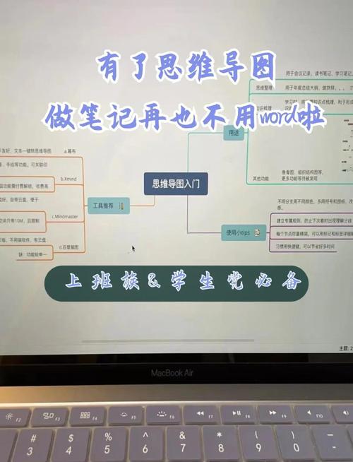思维导图使用者群体有哪些？-图3