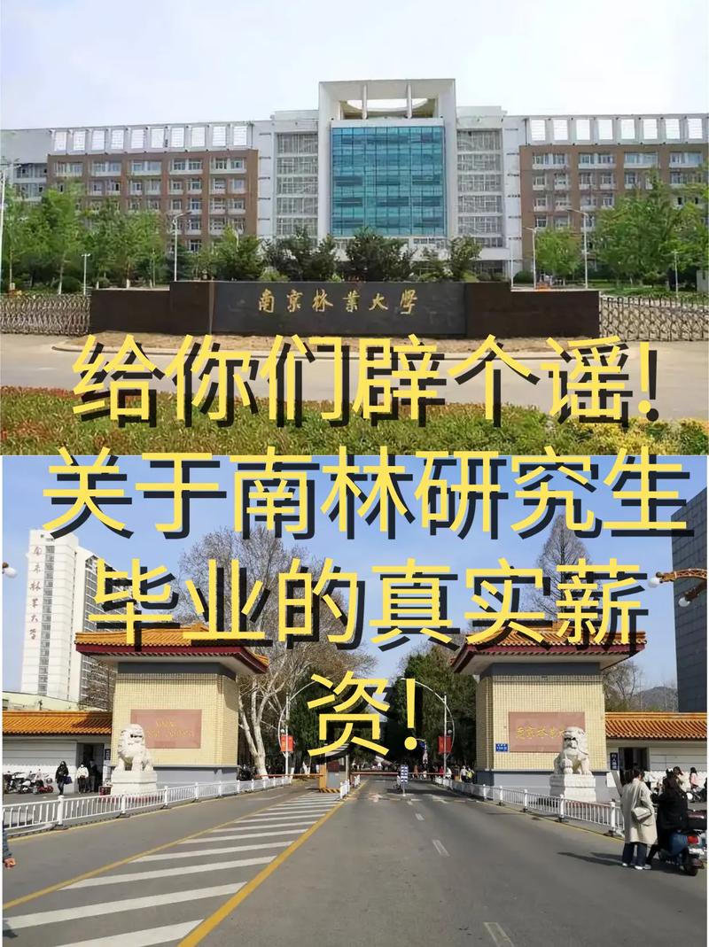 南林生态学专业具体在哪个学院？-图3
