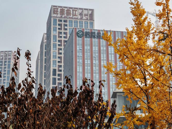 东营金思维,有何独特优势?-图3 东营金思维,有何独特优势?-图3